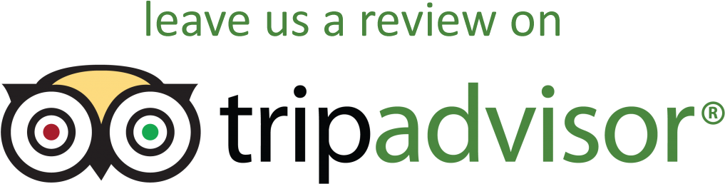 leave-us-a-review-on-tripadvisor-anouar