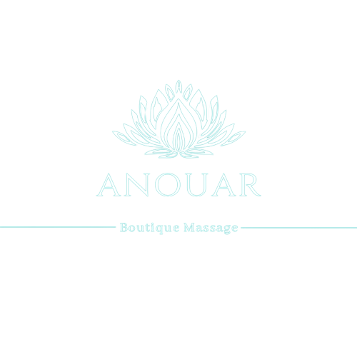 Anouar logo removebg